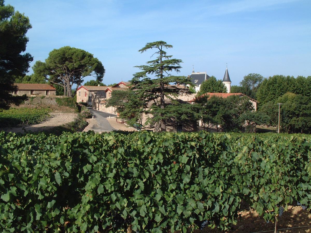 Chateau Saint Martin De Graves Aumes Kültér fotó