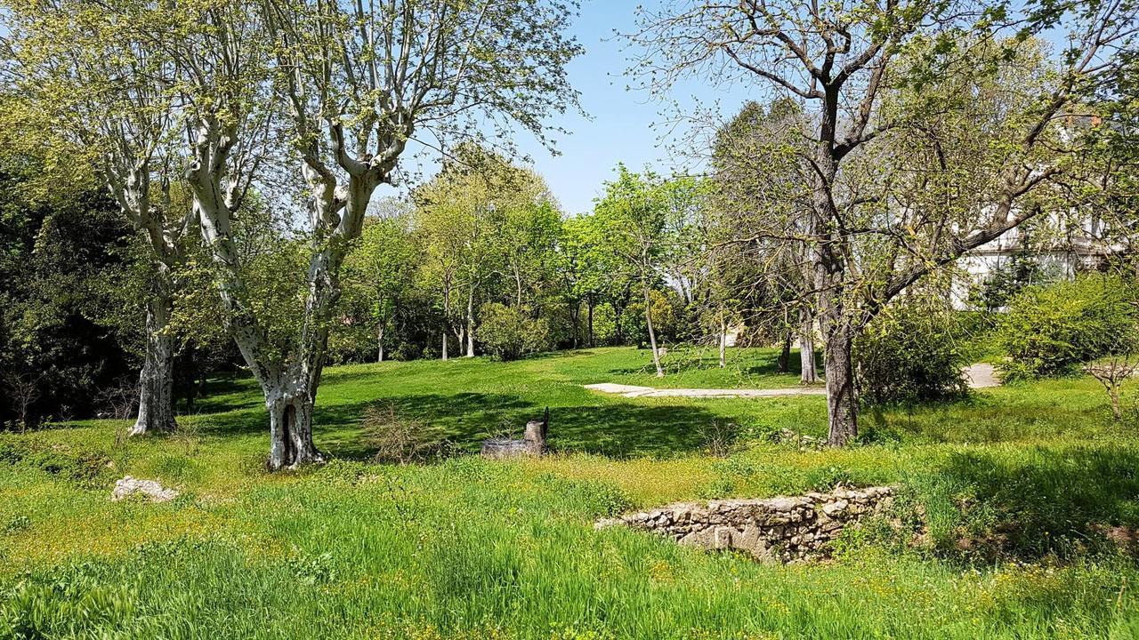 Chateau Saint Martin De Graves Aumes Kültér fotó